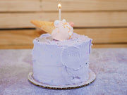 4" Smash Cake
