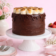 S’mores Chocolate Cake