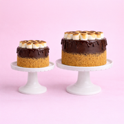 S’mores Chocolate Cake