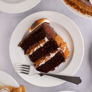 S’mores Chocolate Cake